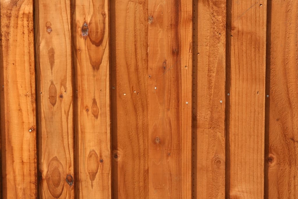 Fence painting Brisbane. Freshly painted timber paling fence